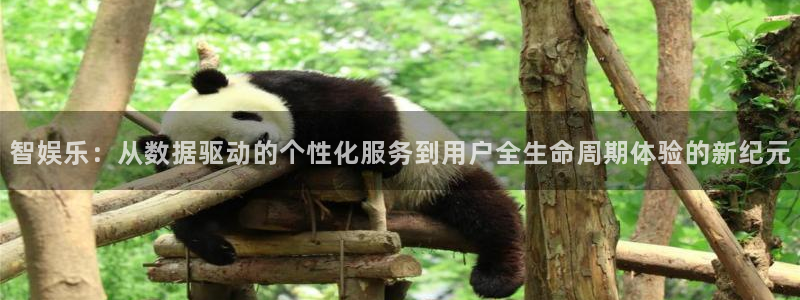 卧龙娱乐登录入口：智娱乐：从数据驱动的个性化服务到用户全生命周期体验的新纪元