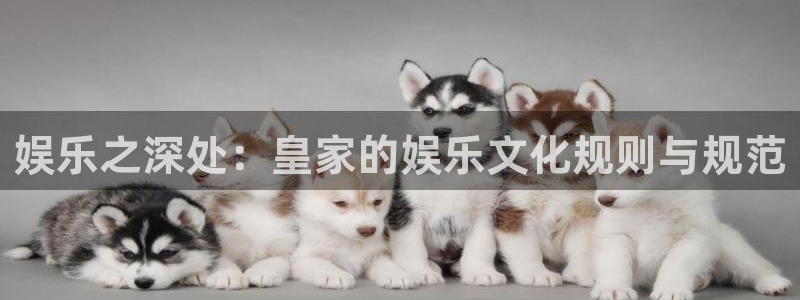 卧龙娱乐怎么样：娱乐之深处：皇家的娱乐文化规则与规范