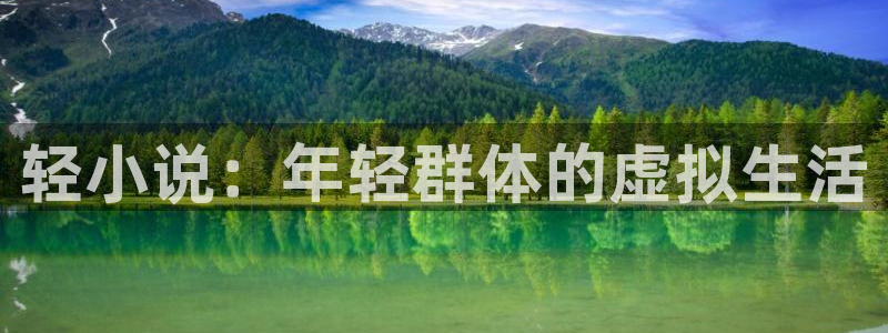 卧龙娱乐怎么样：轻小说：年轻群体的虚拟生活